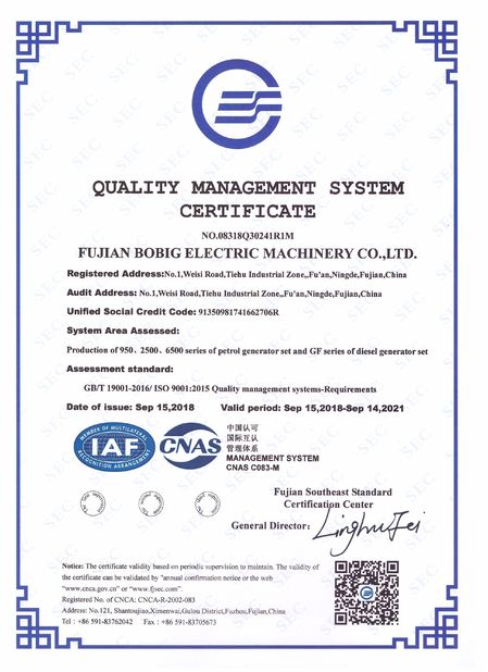 China FUJIAN BOBIG ELECTRIC MACHINERY CO.,LTD certificaten